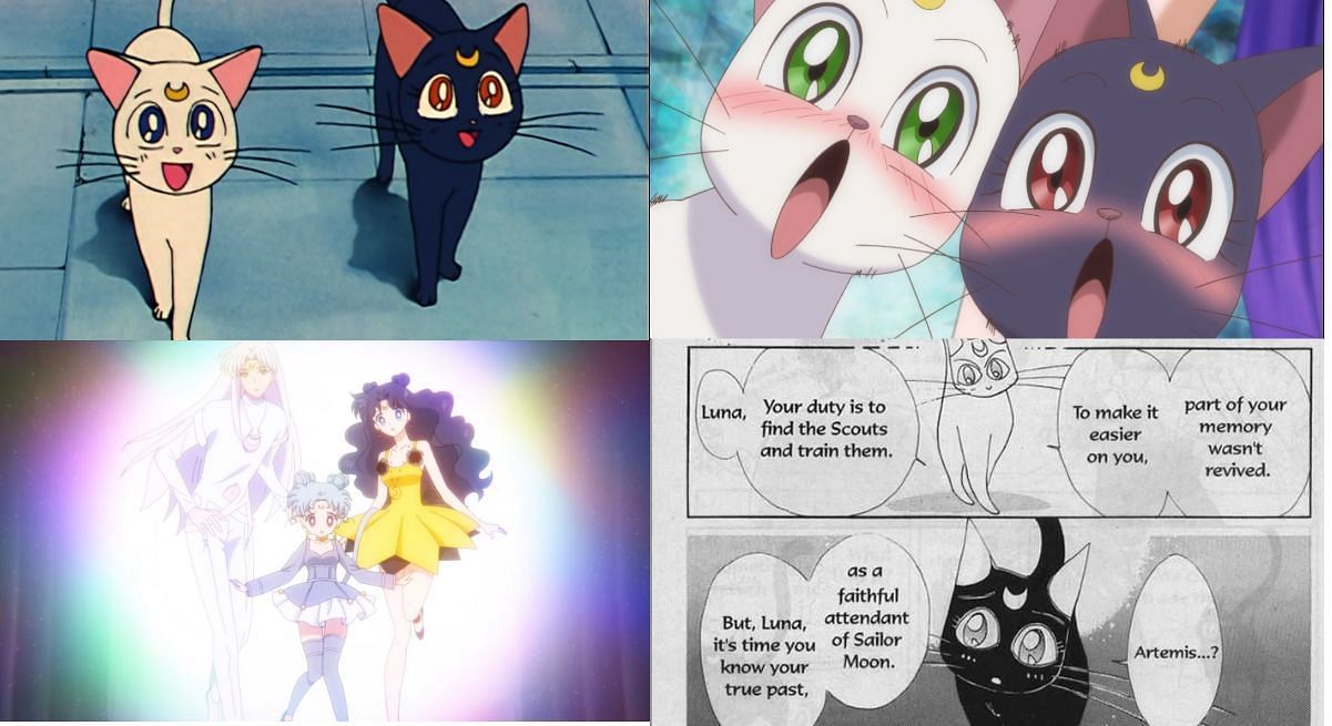 Luna and Artemis throughout Sailor Moon (Image via Toei Animation)